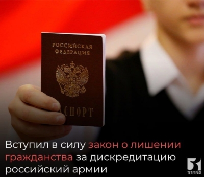 Закон о лишении гражданства: 406 случаев иностранцев в России